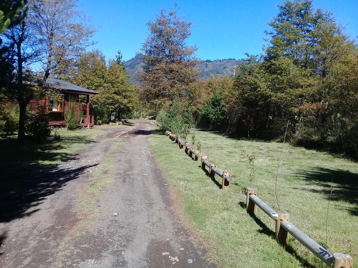Ruca Pehuen * Malalcahuello