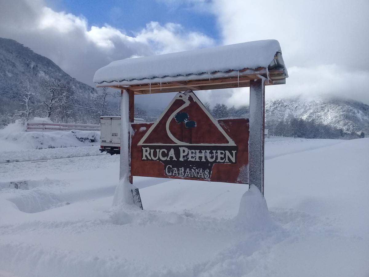 Ruca Pehuen Chalé Malalcahuello