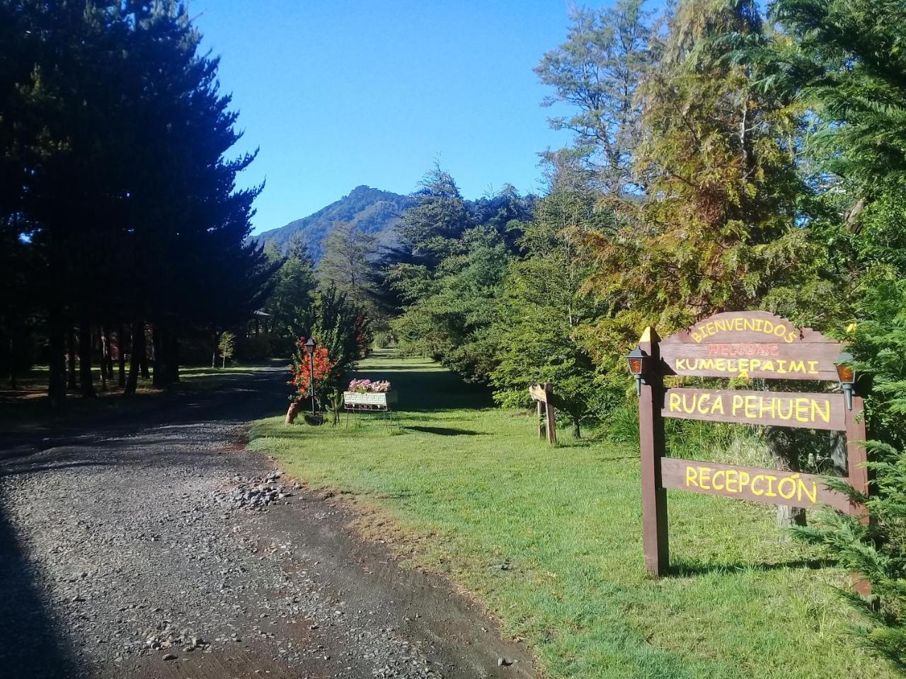 Ruca Pehuen Malalcahuello